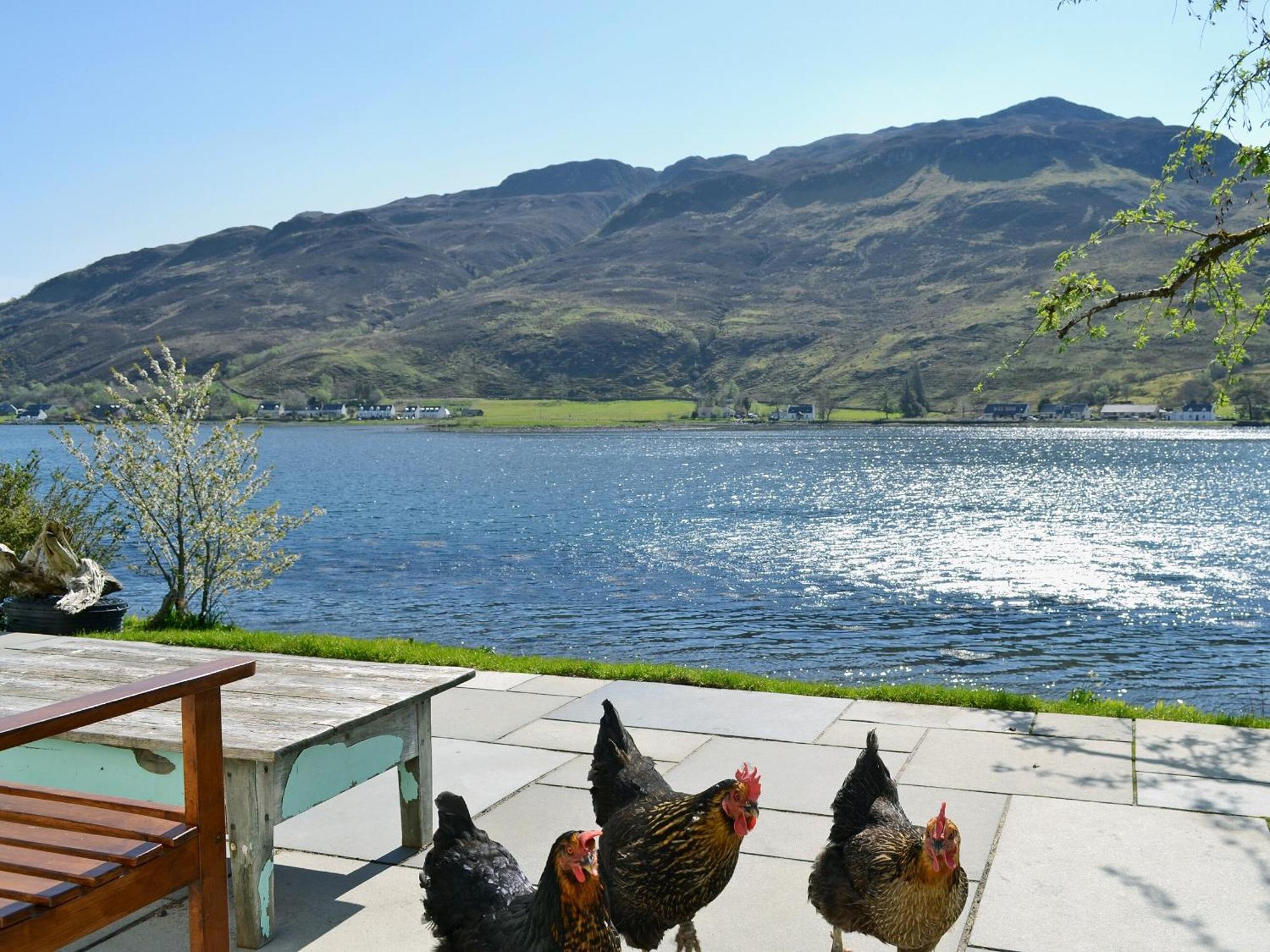 Loch Shore Cottage Dornie Buitenkant foto